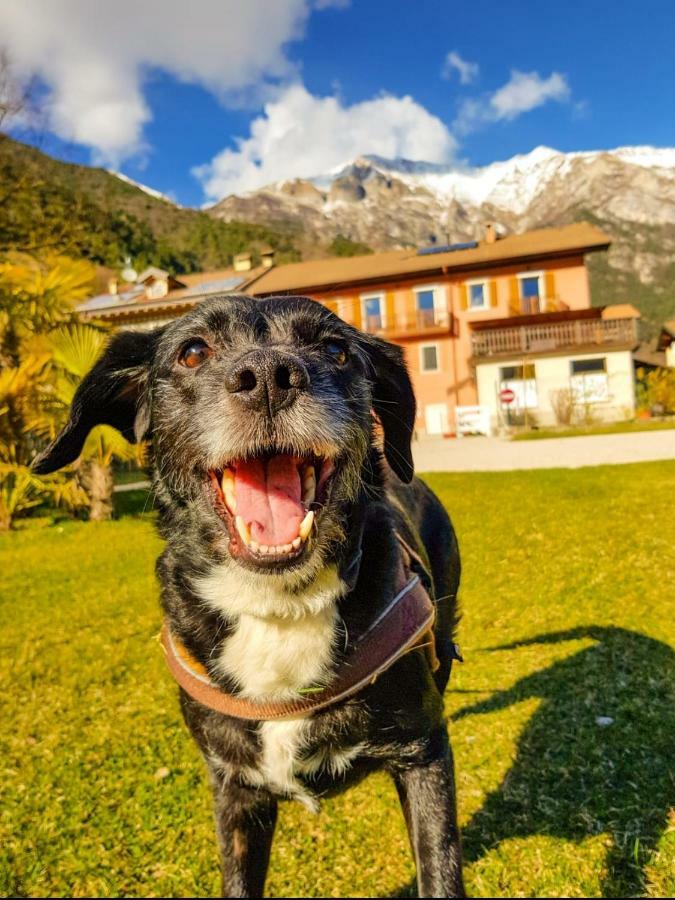 Ledro Lake Suite "Pur" Mezzolago Dış mekan fotoğraf