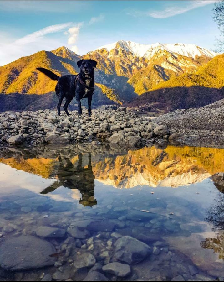 Ledro Lake Suite "Pur" Mezzolago Dış mekan fotoğraf